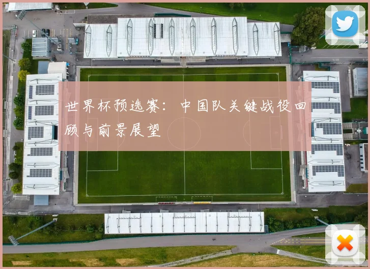 世界杯预选赛：中国队关键战役回顾与前景展望