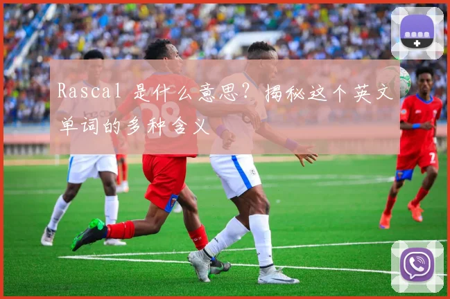 Rascal 是什么意思？揭秘这个英文单词的多种含义